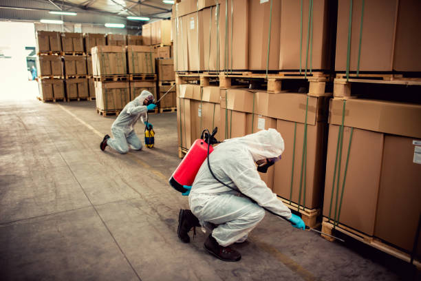 Best Ant Control Services  in Montvale, NJ