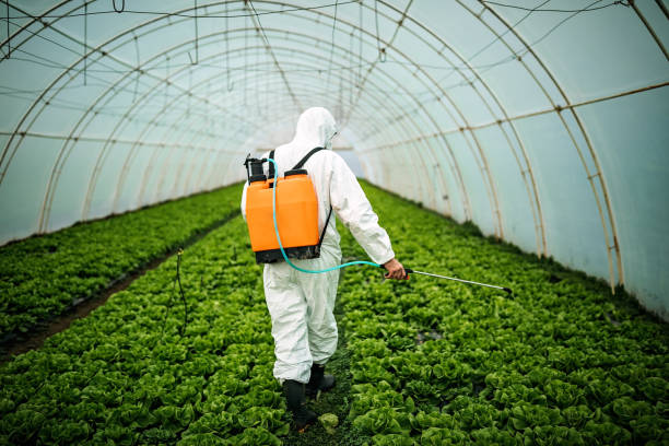 Best Affordable Pest Control Services  in Montvale, NJ