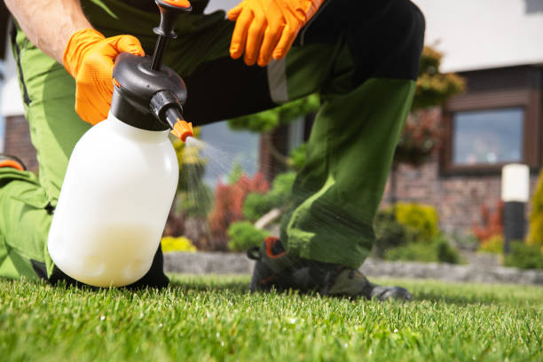 Best Wildlife Control Services  in Montvale, NJ