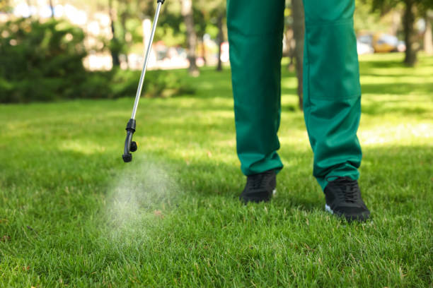 Professional Pest Control in Montvale, NJ