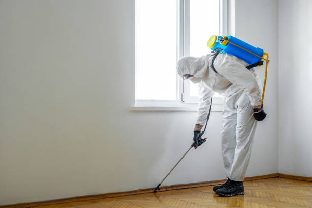 Best Pest Control Cost  in Montvale, NJ