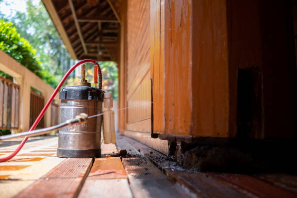 Best Wasp Removal Services  in Montvale, NJ