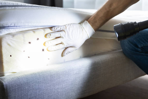 Best Residential Pest Control  in Montvale, NJ