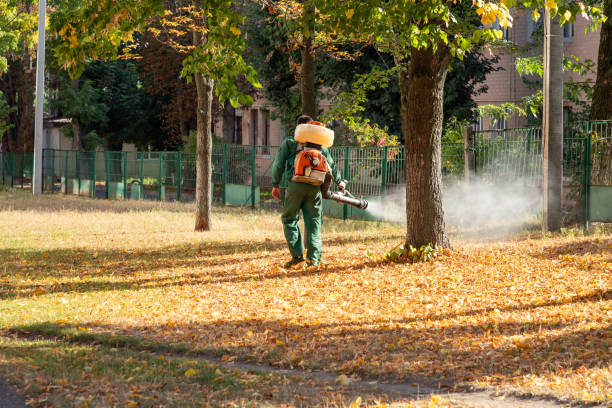 Best Best Pest Control Companies  in Montvale, NJ