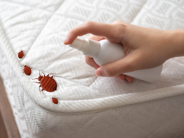 Best Affordable Pest Control Services  in Montvale, NJ