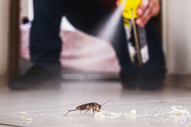 Best Rodent Control Near Me  in Montvale, NJ