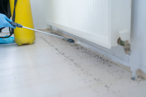 Best Spider Control Near Me  in Montvale, NJ