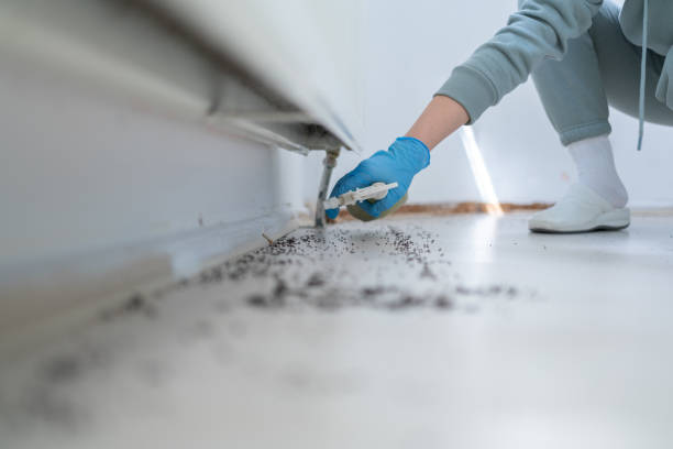 Best Pest Inspection Near Me  in Montvale, NJ